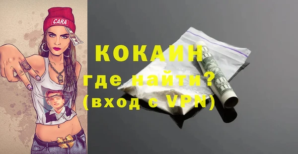 дурь Лабытнанги