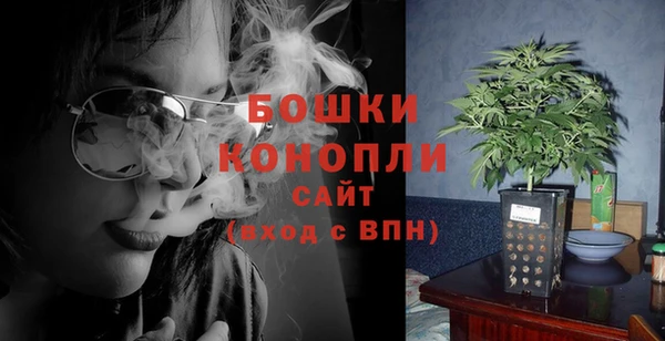 дурь Лабытнанги