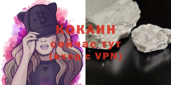 дурь Лабытнанги