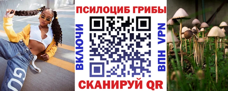 Галлюциногенные грибы Cubensis Шахты