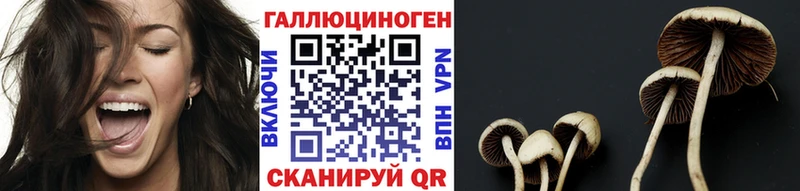 Галлюциногенные грибы Magic Shrooms  Шахты 