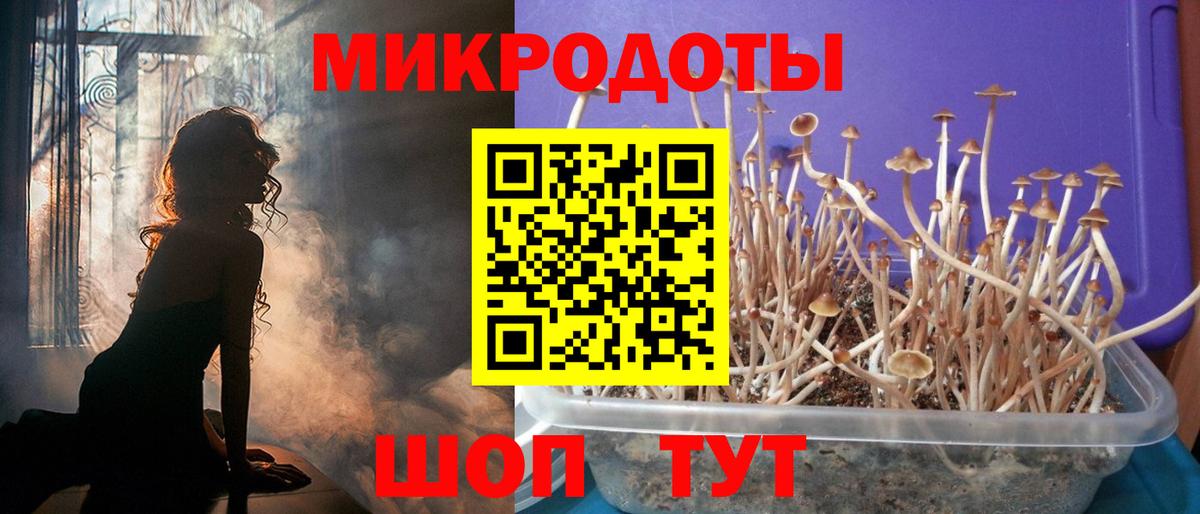 Псилоцибиновые грибы мухоморы Шахты